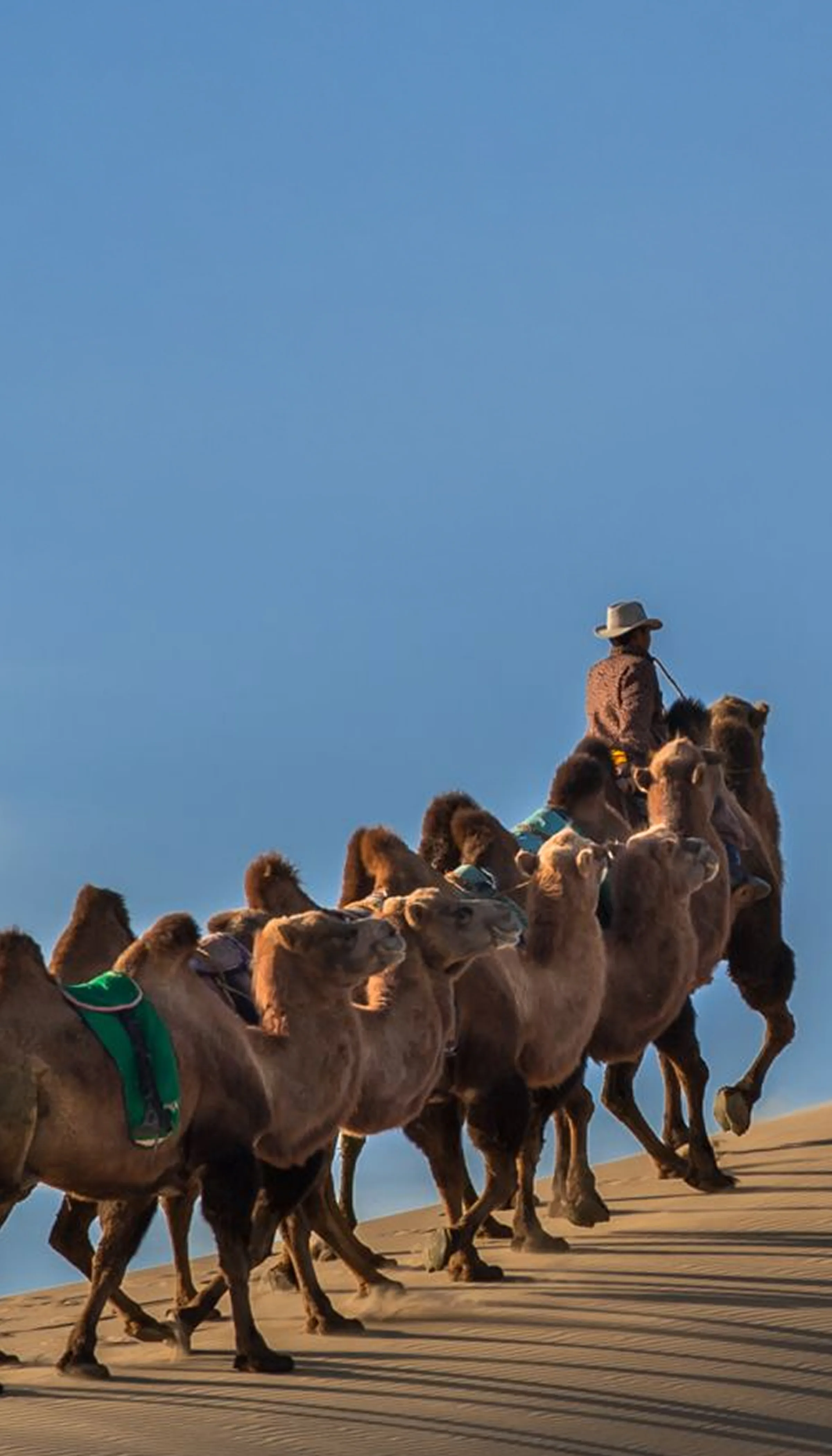 Discover Mongolia
