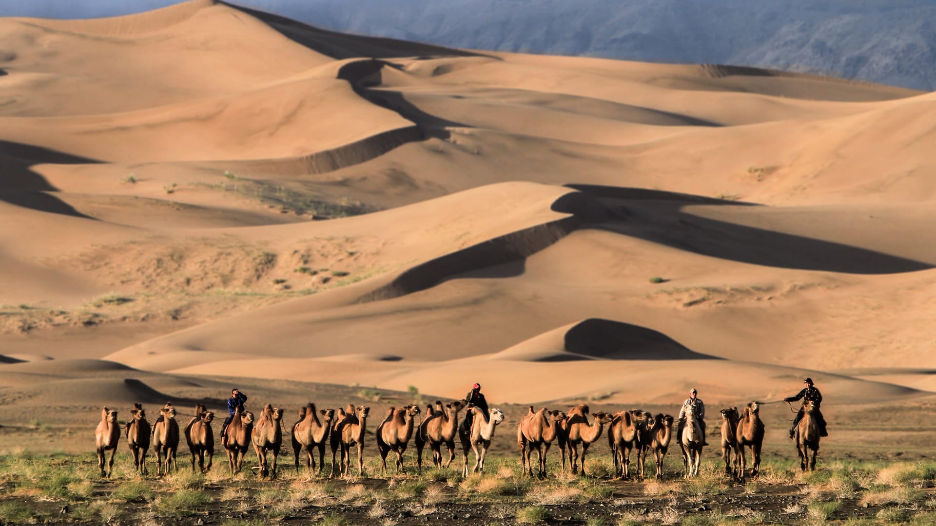 Grand Mongolia Discovery – 15 Days Overland Journey