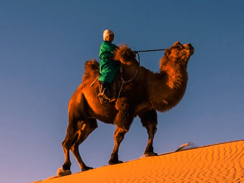 Landmarks of gobi and steppe