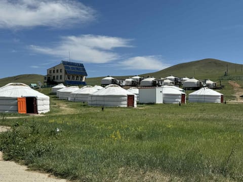 Khustai camp