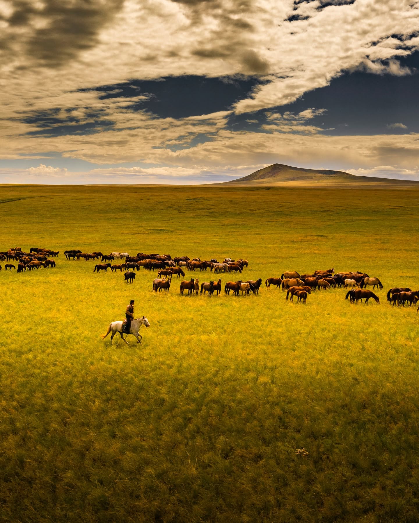 Camel riding journey among Khonhor sand dune