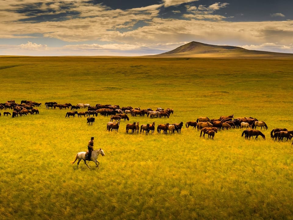 Mongol Daguur Strictly Protected Area