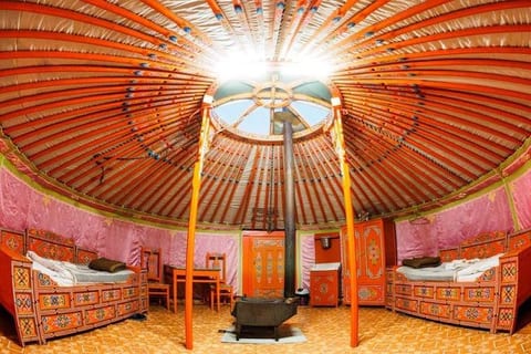 Uureg lake camp