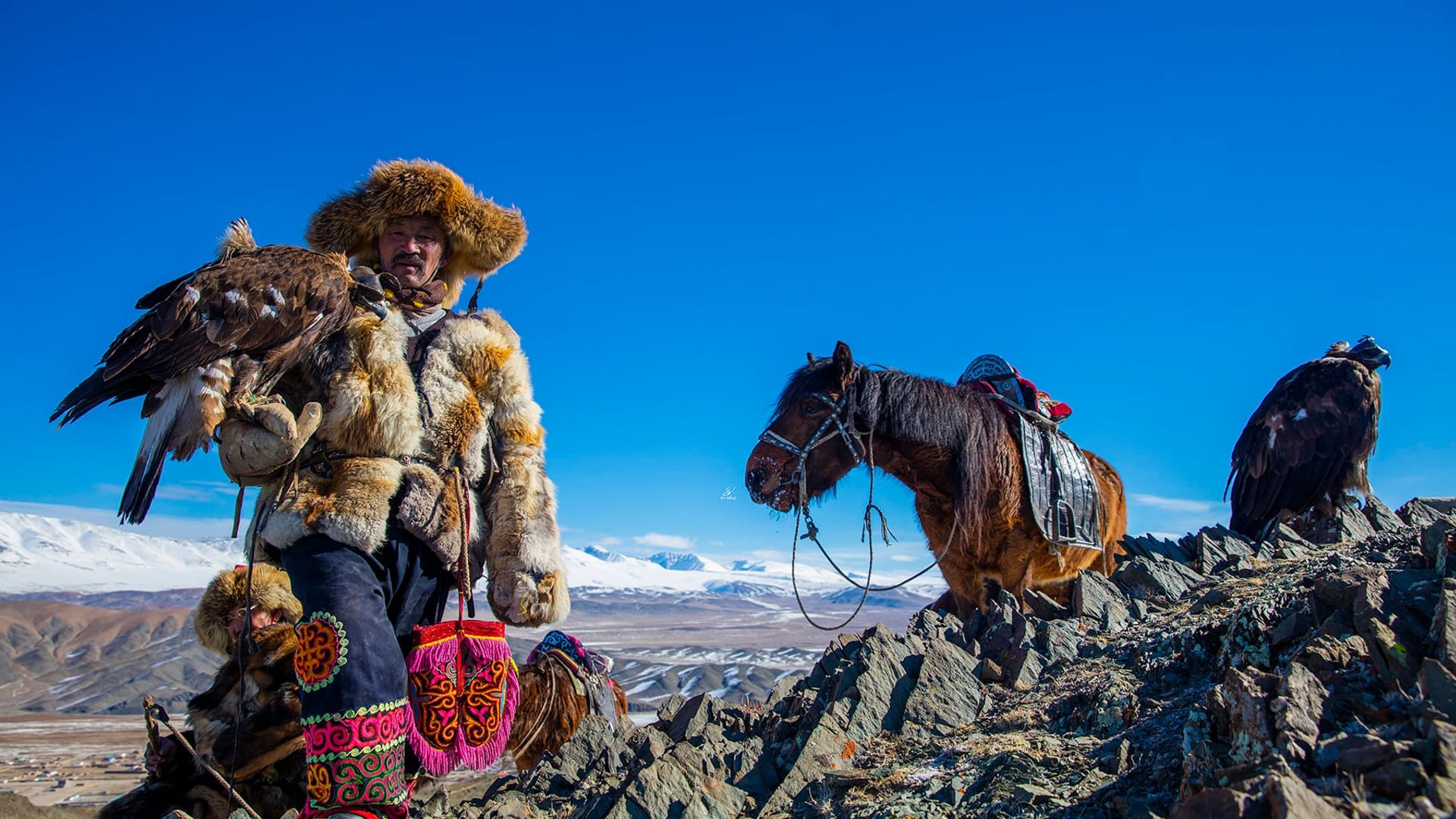 Gobi and Golden Eagle Festival Tour