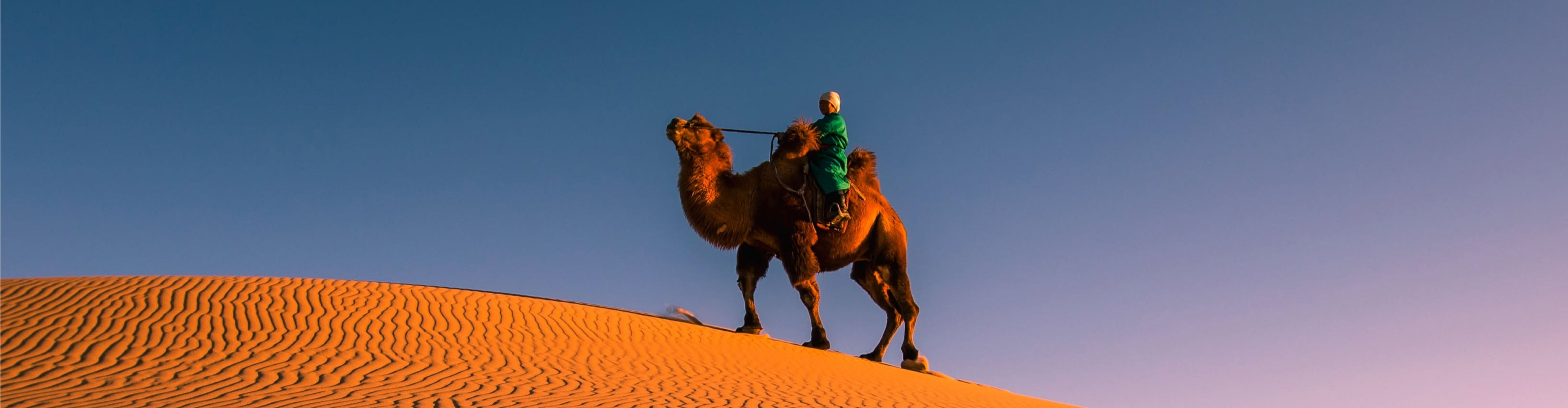 Camel Riding Journey Among the Khongor Sand Dunes