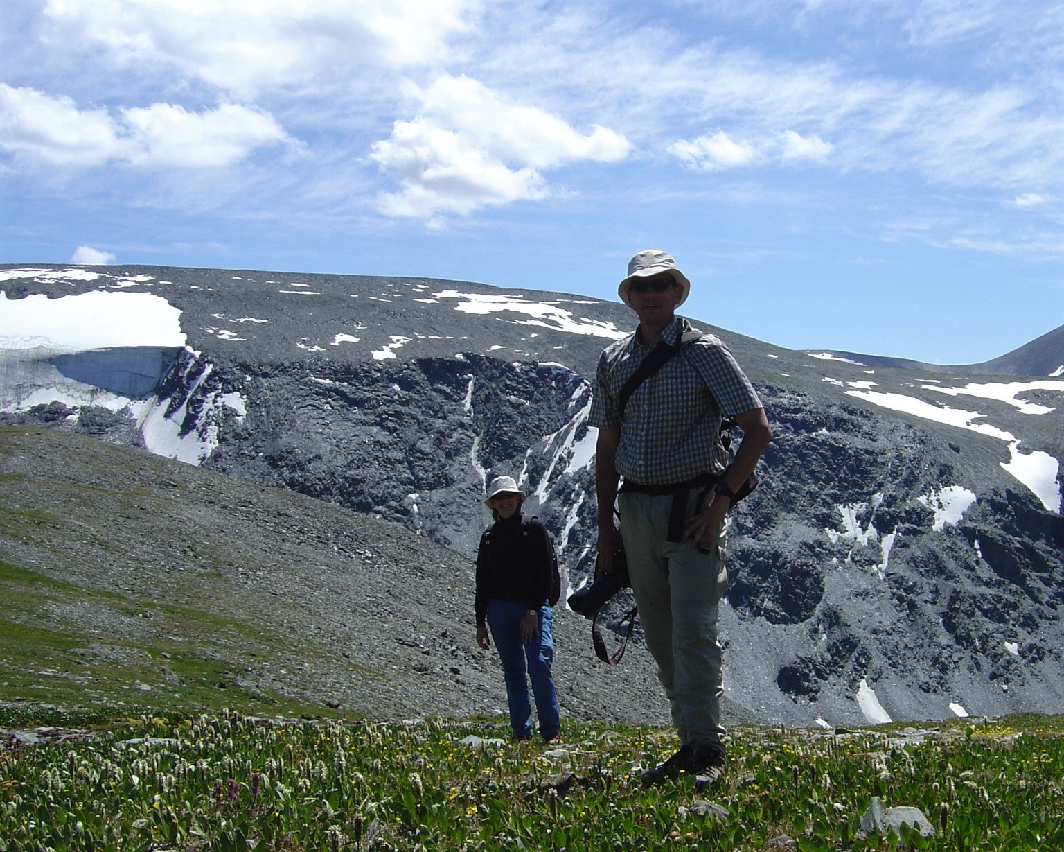 Overview