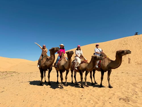 Camel Riding in the Gobi