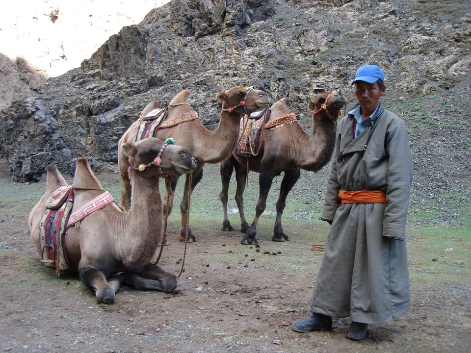 Fly to Gobi desert