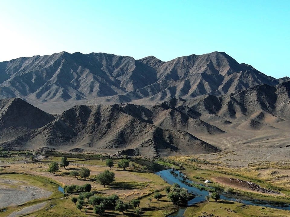 Wildlife viewing at Baitag Bogd Mountain