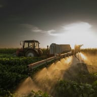 What Are Mongolia's Most Overlooked Supply Chain Risks?