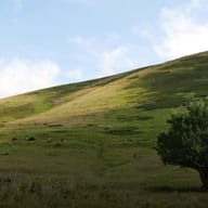 Төв Ази АНУ-тай ойртсоор: Монголд өгөх сургамж