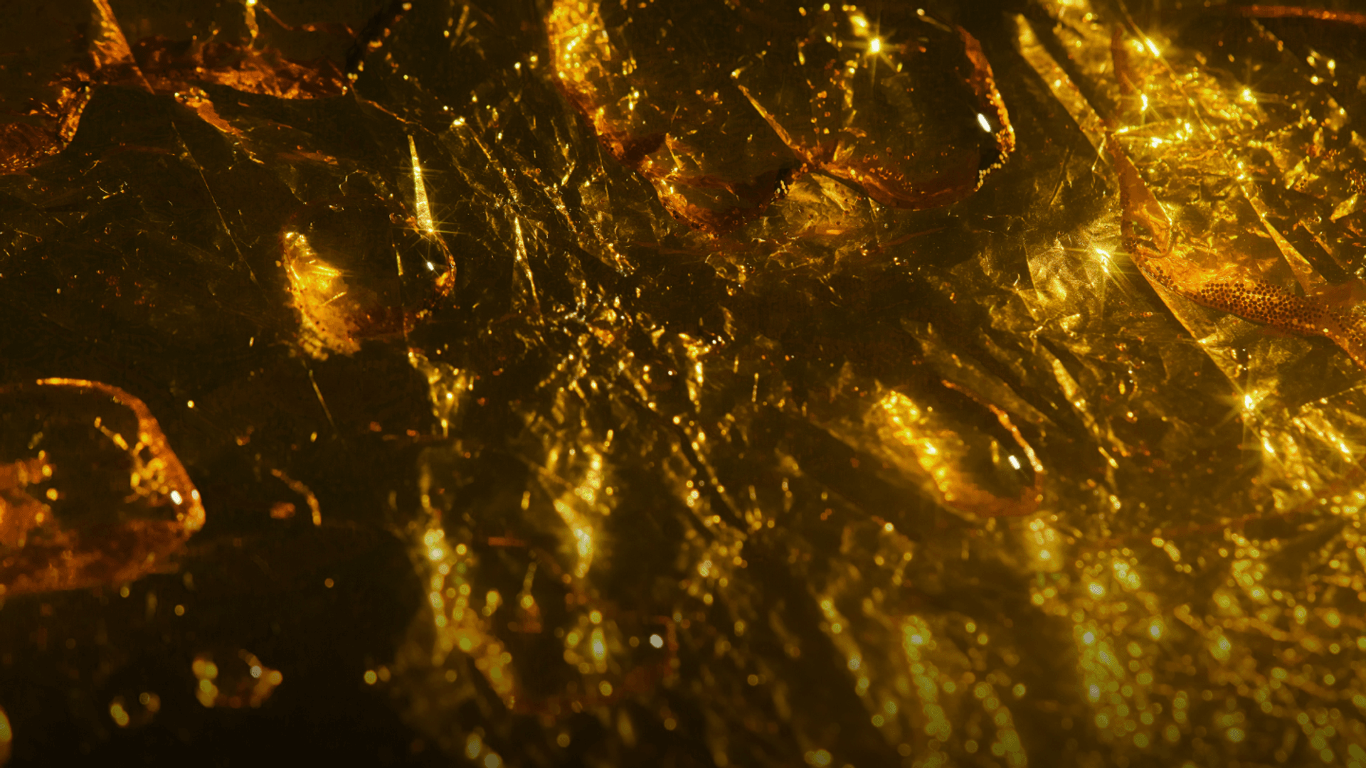 detail-cover-img