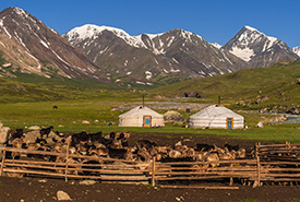 Visit nomadic family and stay in Ger