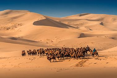 Khongor sand dunes