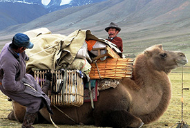 Nomad lifestyle