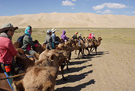 Camel riding