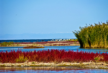 Khar us Lake